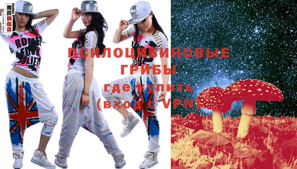 тгк Арсеньев
