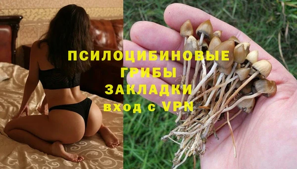 первитин Армянск