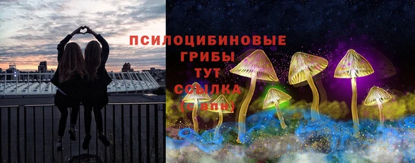 первитин Армянск