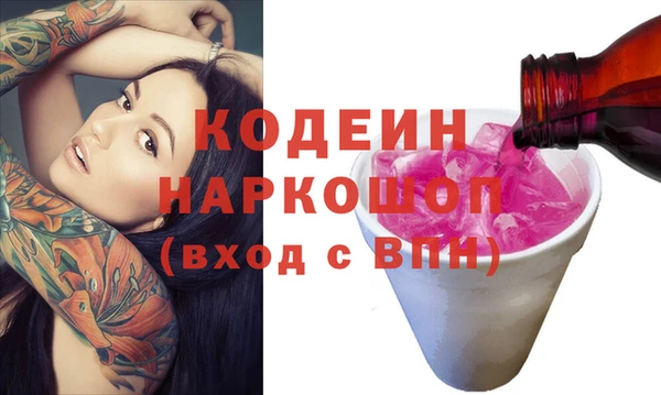 ПСИЛОЦИБИНОВЫЕ ГРИБЫ Инсар