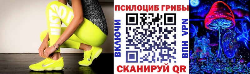 сайты даркнета телеграм закладки Северобайкальск Галлюциногенные грибы Cubensis